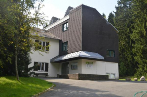 Отель Waldheim Weißenstadt, Вайсенштадт